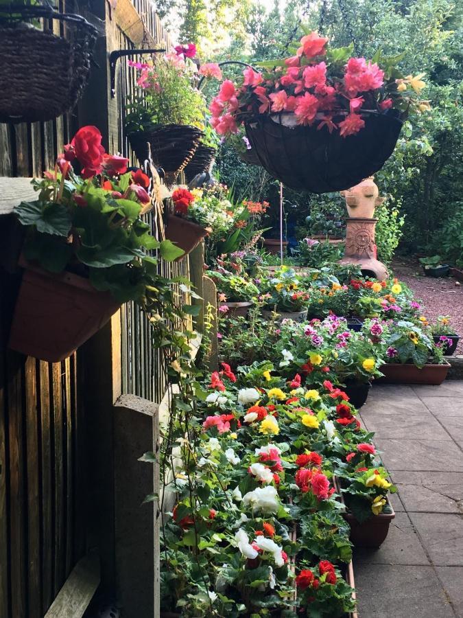 38 Whitehall Road Harrow on the Hill Екстериор снимка